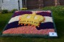 Thumbs/tn_Bloemencorso 2015 016.jpg